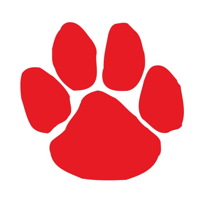 Red Paw Print Temporary Tattoo – Temporary Tattoos