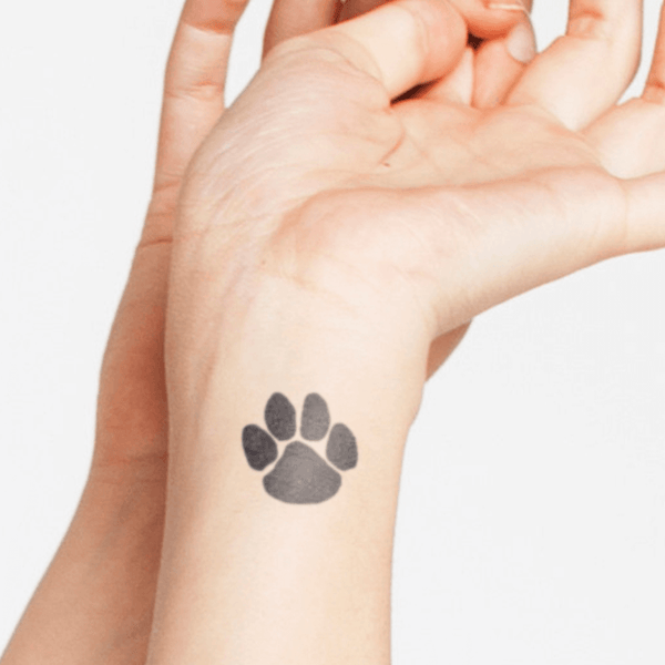 Siberian Husky Dog Paw Prints Fun Text Water Resistant Temporary Tattoo Set  Fake Body Art Collection - Orange - Walmart.com
