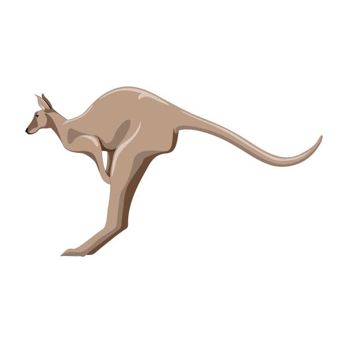 Kangaroo Temporary Tattoo 2 in x 2 in