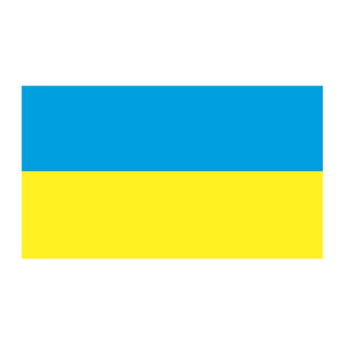 Ukraine Flag Temporary Tattoo