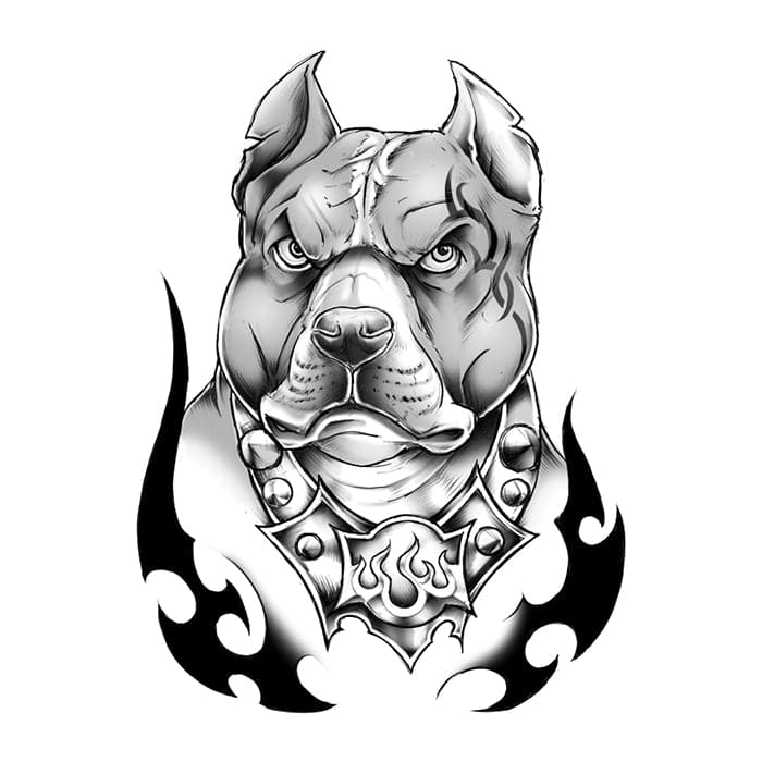 Black and white line art of pitbull dog head  Stock Illustration  81594729  PIXTA