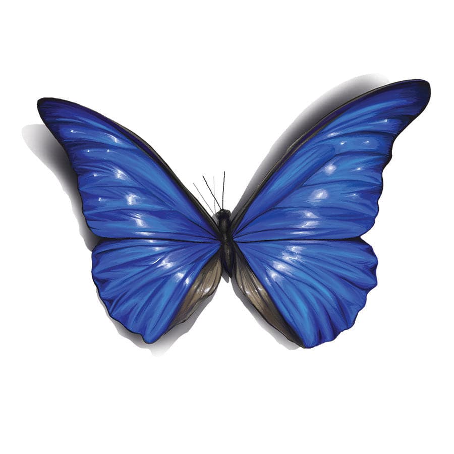 12 Blue Butterfly Tattoo Ideas To Inspire You  alexie