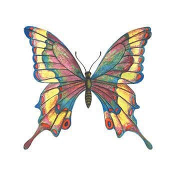 Stained Glass Butterfly Tattoo  Tattoo for a week