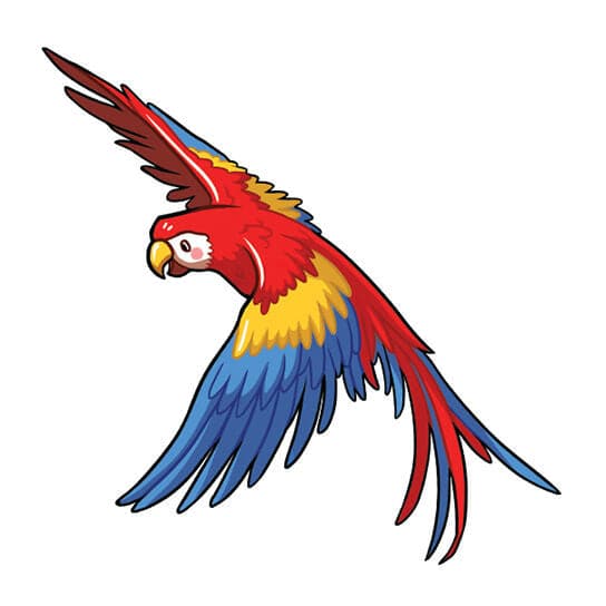 Neotraditional style macaw tattoo on the left inner