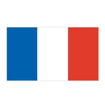 France Flag Temporary Tattoo – Temporary Tattoos