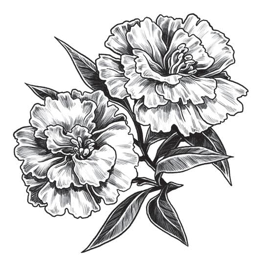 705 Carnation Tattoo Royalty-Free Photos and Stock Images | Shutterstock