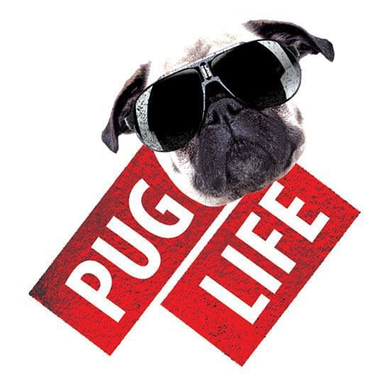 Pug Life Tattoo - Best Tattoo Ideas Gallery