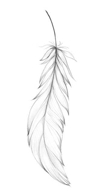 Feather Tattoo Vector (EPS, SVG) | OnlyGFX.com